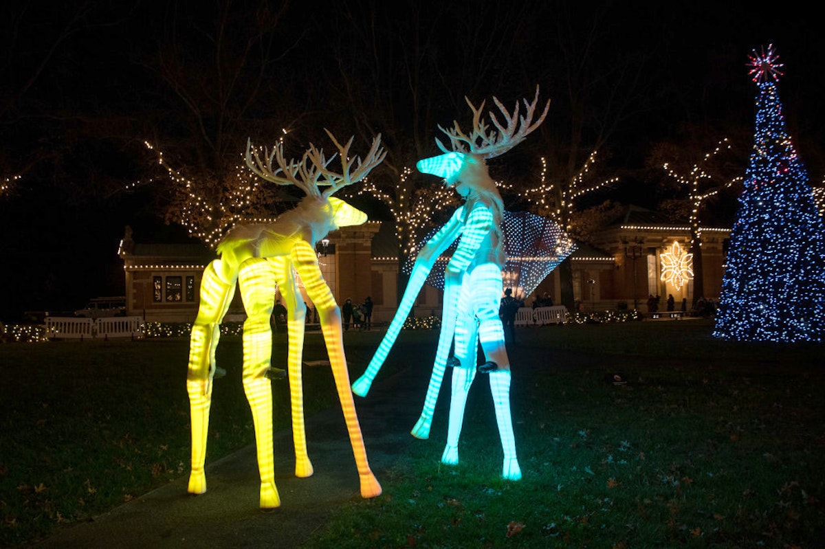 Photo of Illuminated Performers