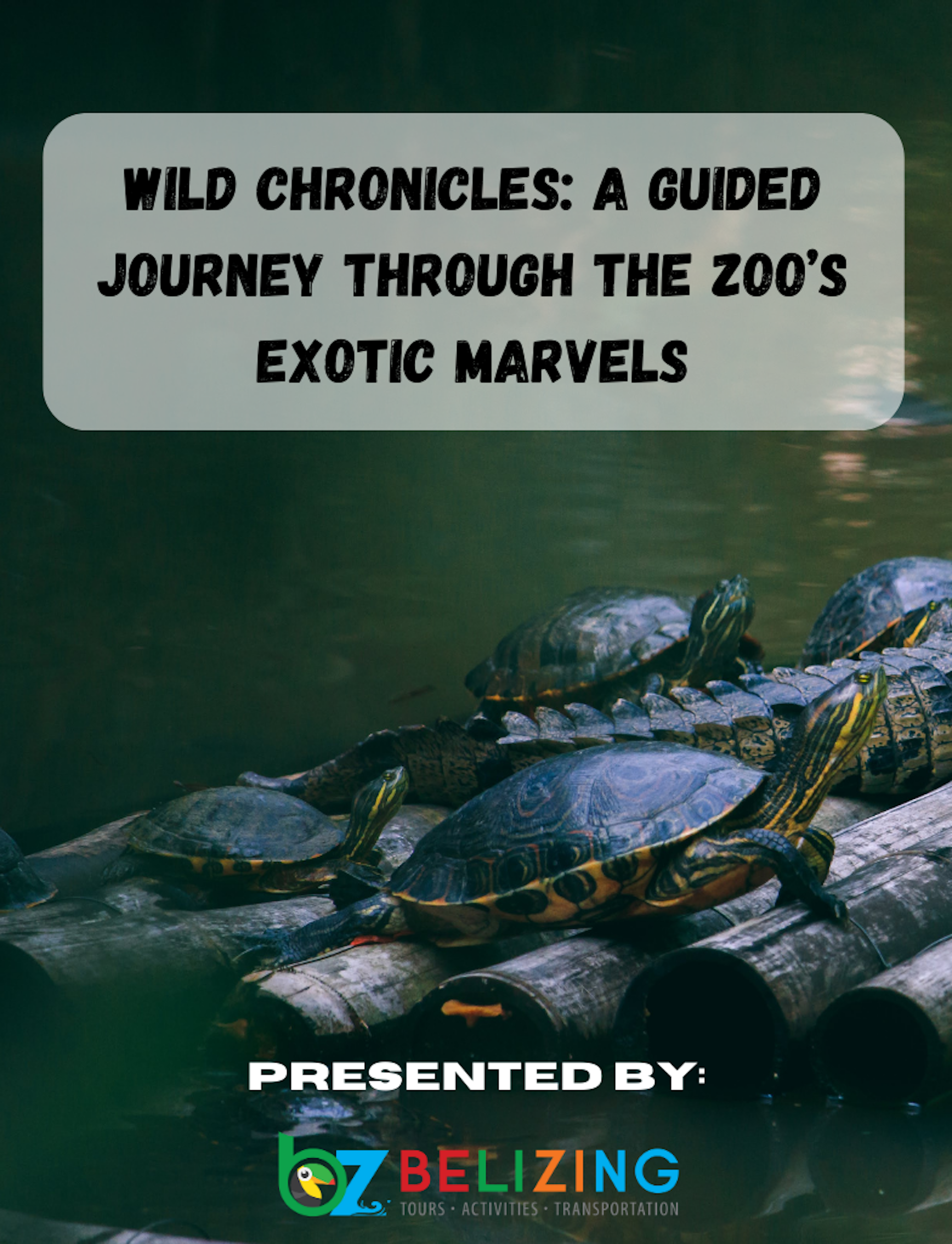 Wild Chronicles: A Guided Journey Through The Zoo's Exotic Marvels
