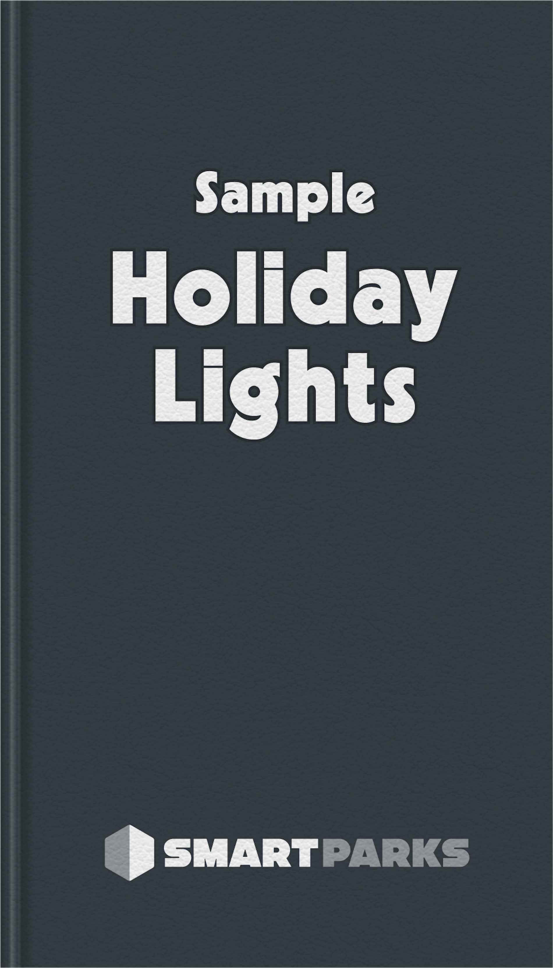 Holiday Lights (Sample)