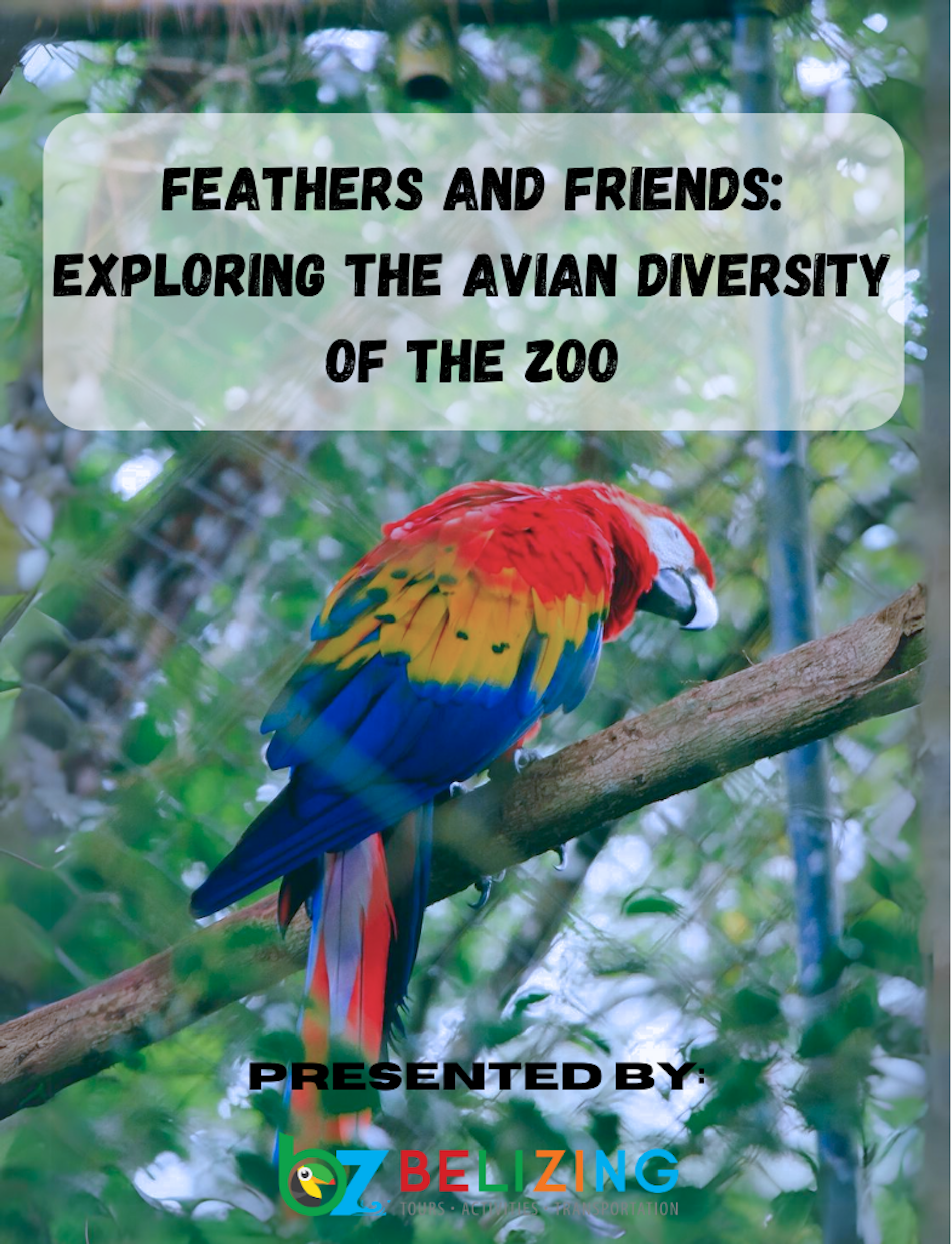 Feathers and Friends: Exploring the Avian Diversity of the Zoo