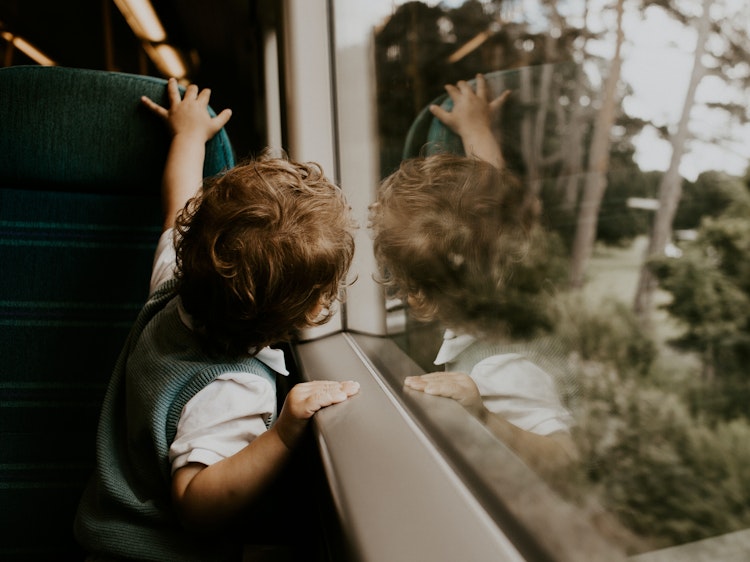 Photo of Safari Train
