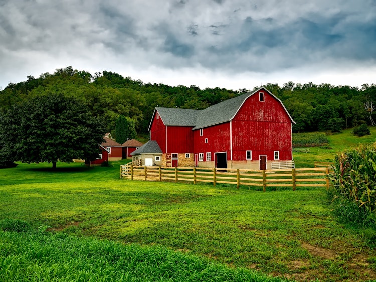 Photo of The Barnyard
