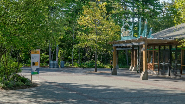 Photo of Dancing Crane Plaza