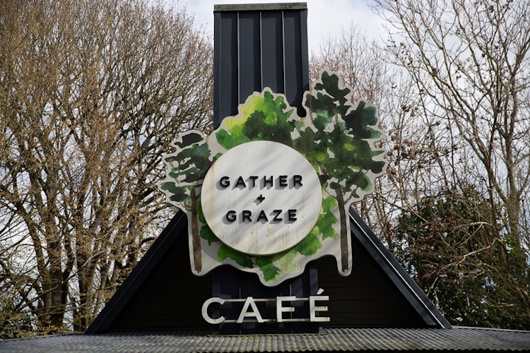 Photo of Gather + Graze Café