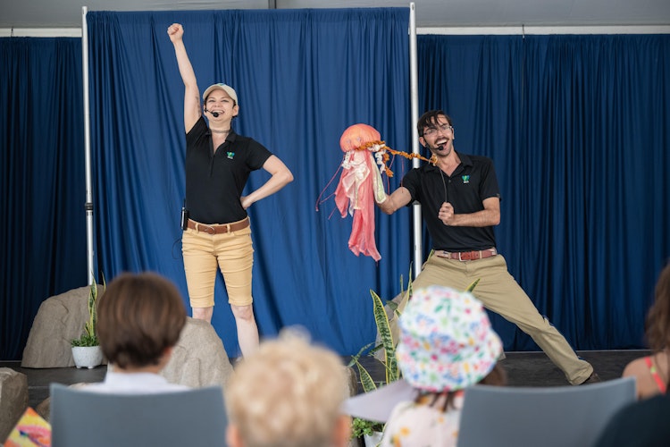 Photo of Wildlife Theater at Plaza Tent