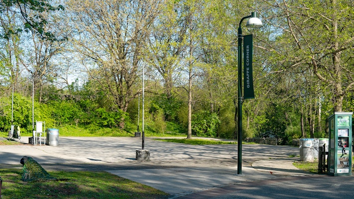 Photo of Giraffe Corner