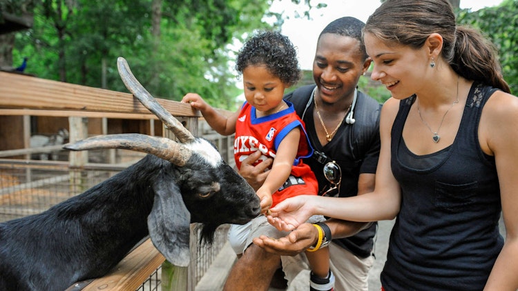 Photo of Children's Zoo