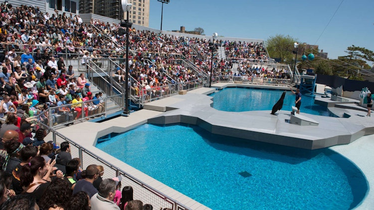 Photo of Aquatheater