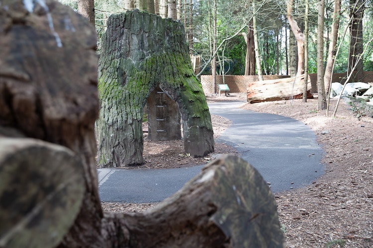 Photo of Habitat Discovery Loop