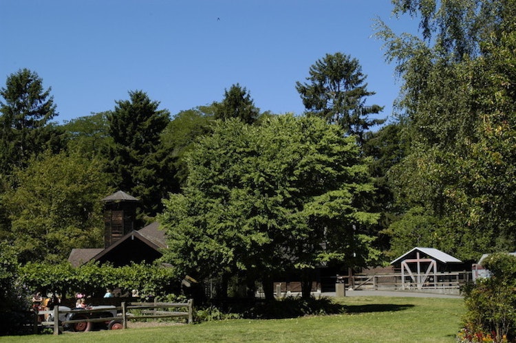 Photo of Backyard Habitat