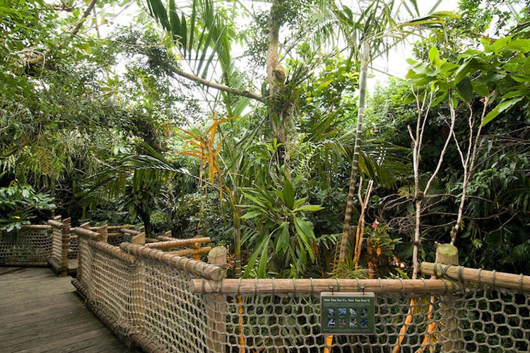 Photo of Tropical Rain Forest Dome