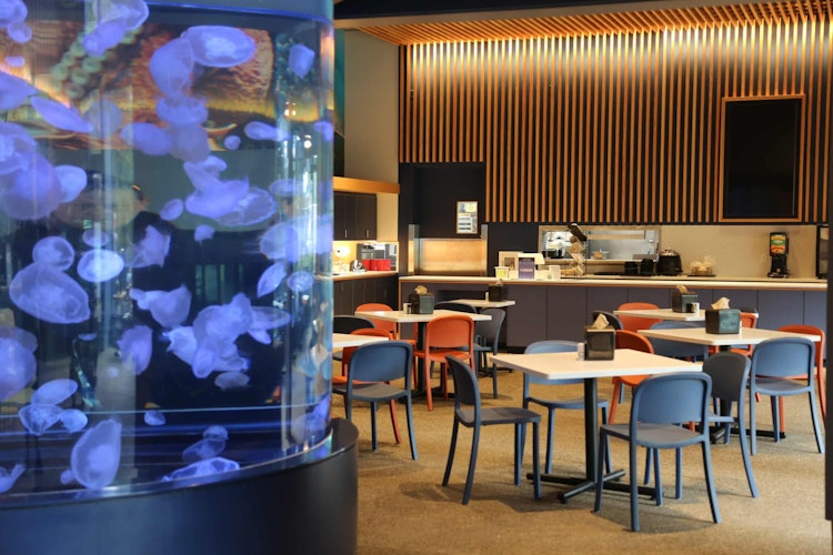 Photo of Moon Jelly Café