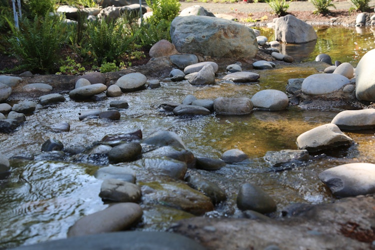 Photo of Headwaters