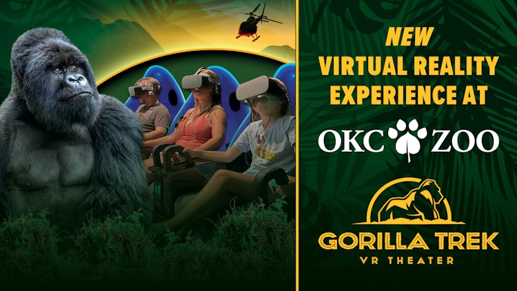 Photo of Gorilla Trek VR