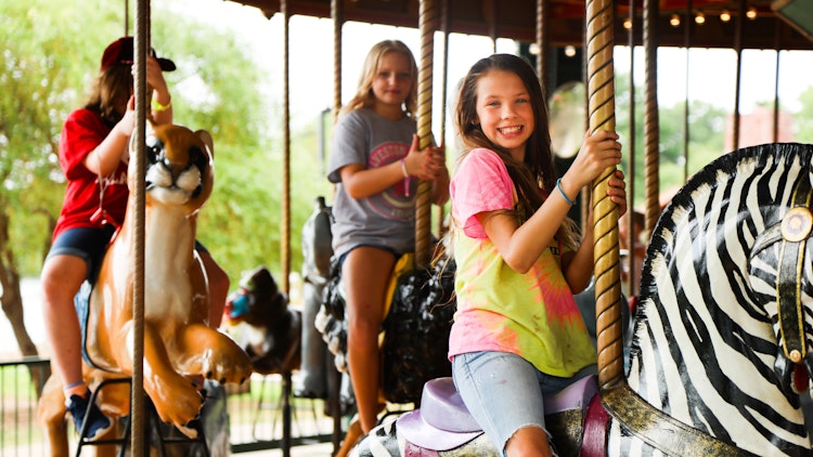 Photo of Endangered Species Carousel