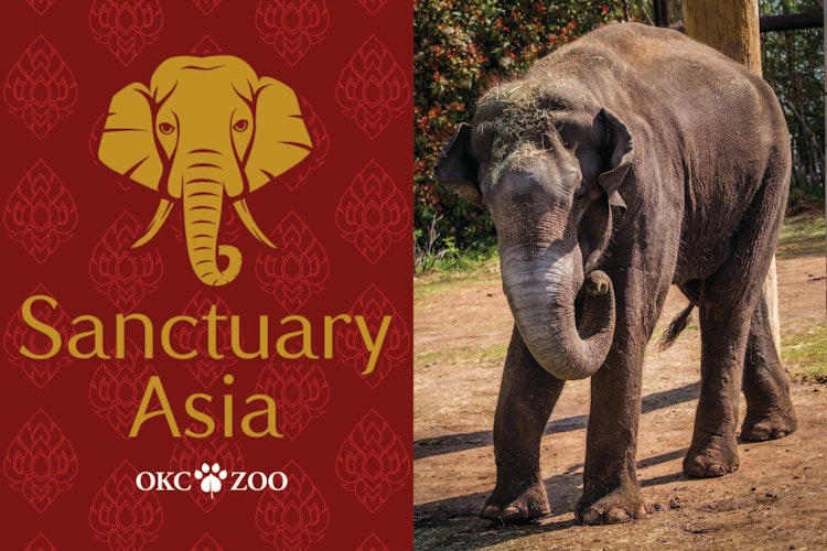 Photo of Sanctuary Asia