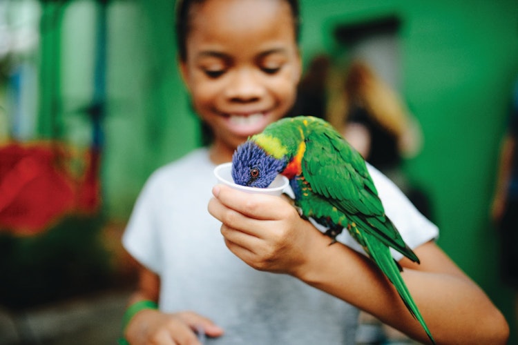 Photo of Children's Zoo presented by Primrose Schools