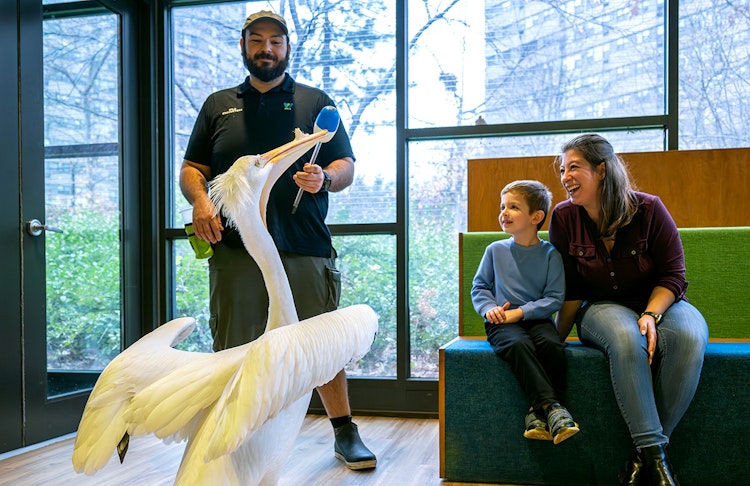 Photo of Wild Encounters Check-In AT ZOO CENTER