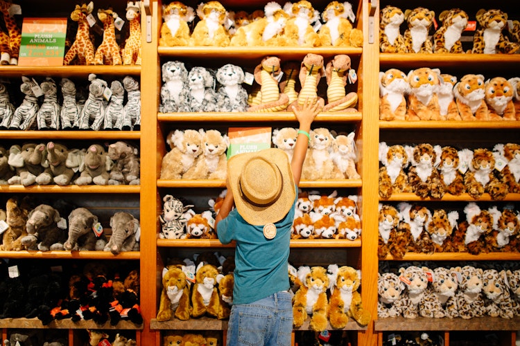 Photo of Safari Gifts
