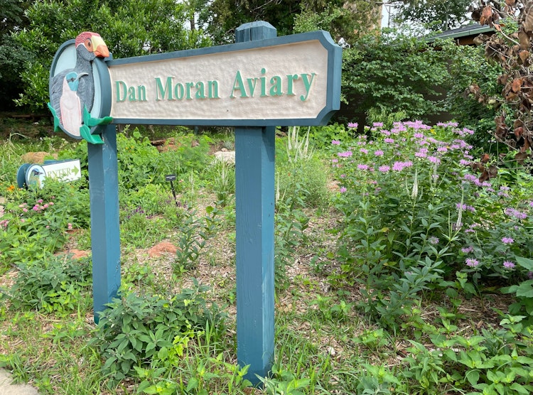 Photo of Dan A. Moran Aviary