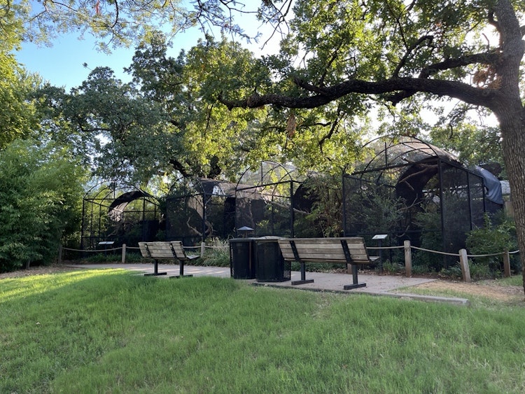Photo of Sam Moore Aviary 