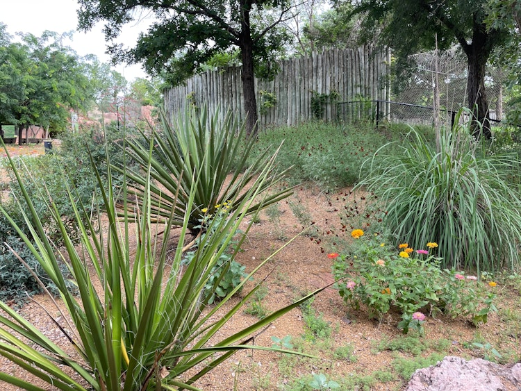 Photo of Cactus Garden