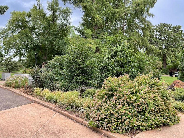 Photo of Devon Energy English Garden
