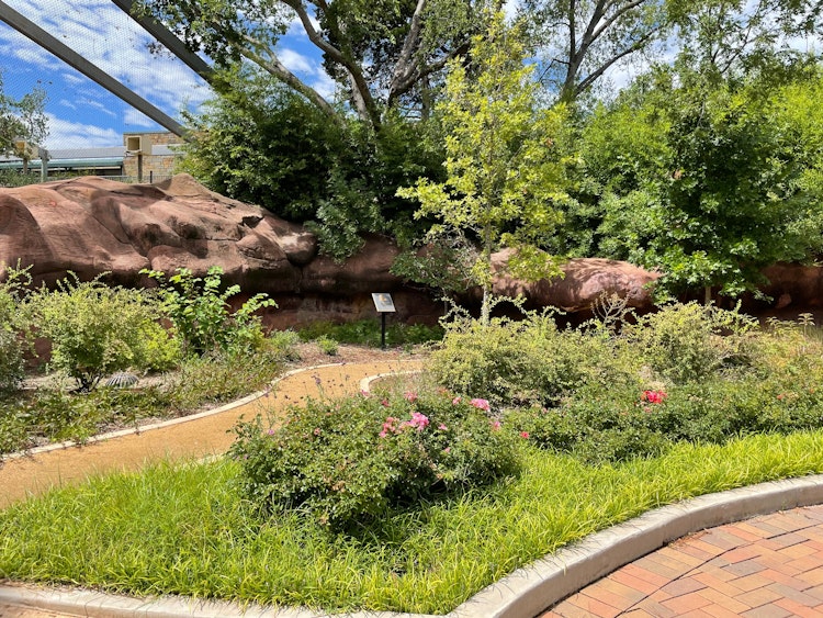 Photo of Don T. Zachritz Azalea Garden