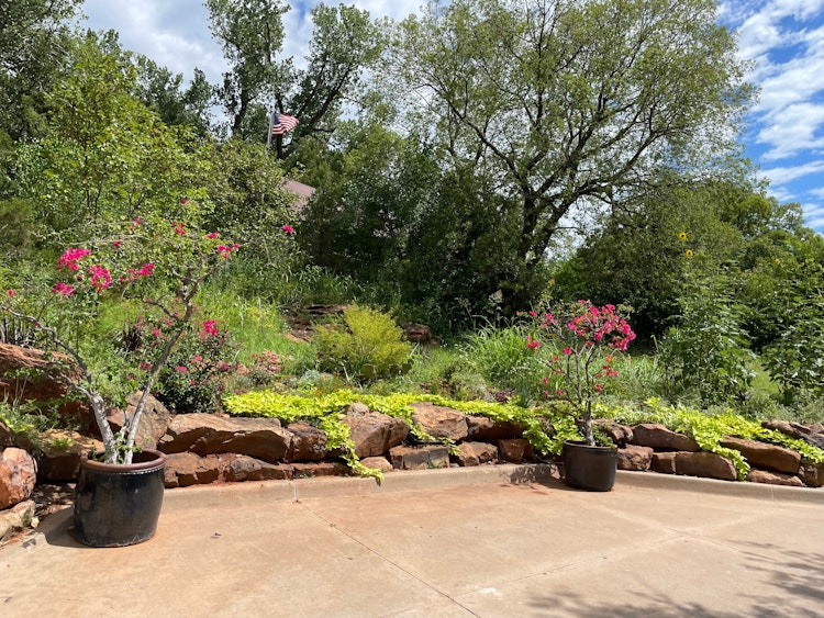 Photo of Mediterranean Garden