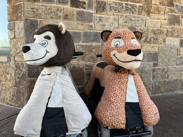 Photo of Scooter Pals