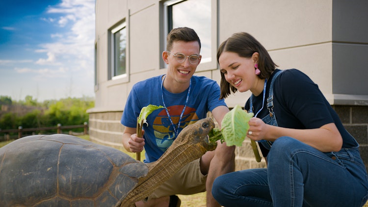 Photo of Wild Encounters: Galapagos Tortoise