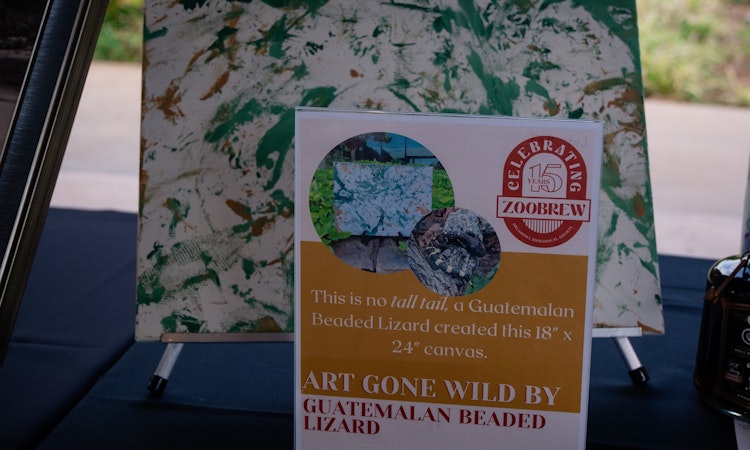 Photo of Zoo Brew Silent Auction