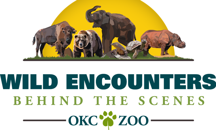 Photo of Wild Encounters