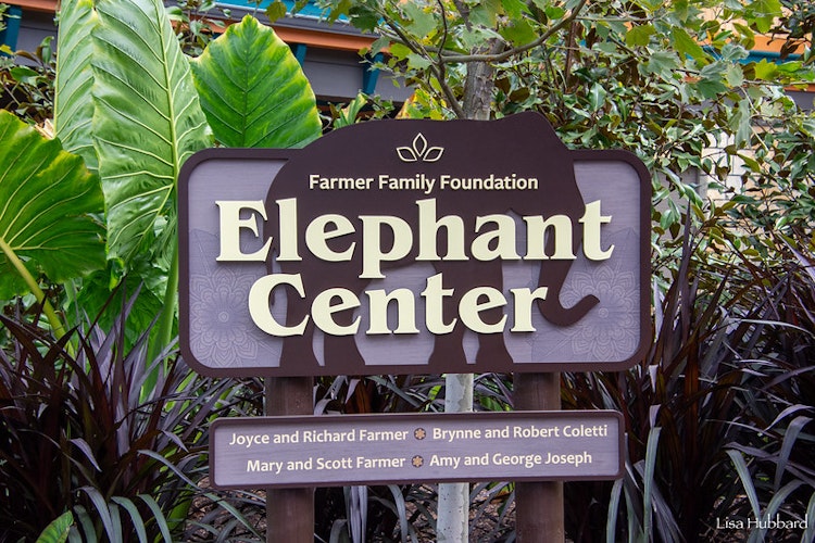Photo of Elephant Center
