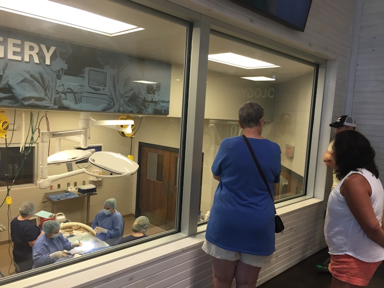 Photo of Joan Kirkpatrick Animal Hospital Animal Procedures