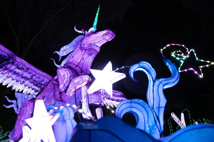 Photo of Unicorn and Pegasus