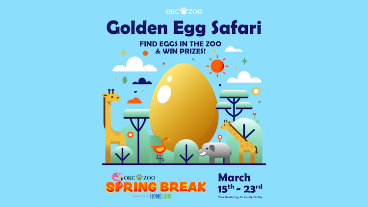 Photo of Golden Egg Hunt