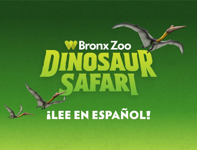 Photo of Safari de Dinosaurios