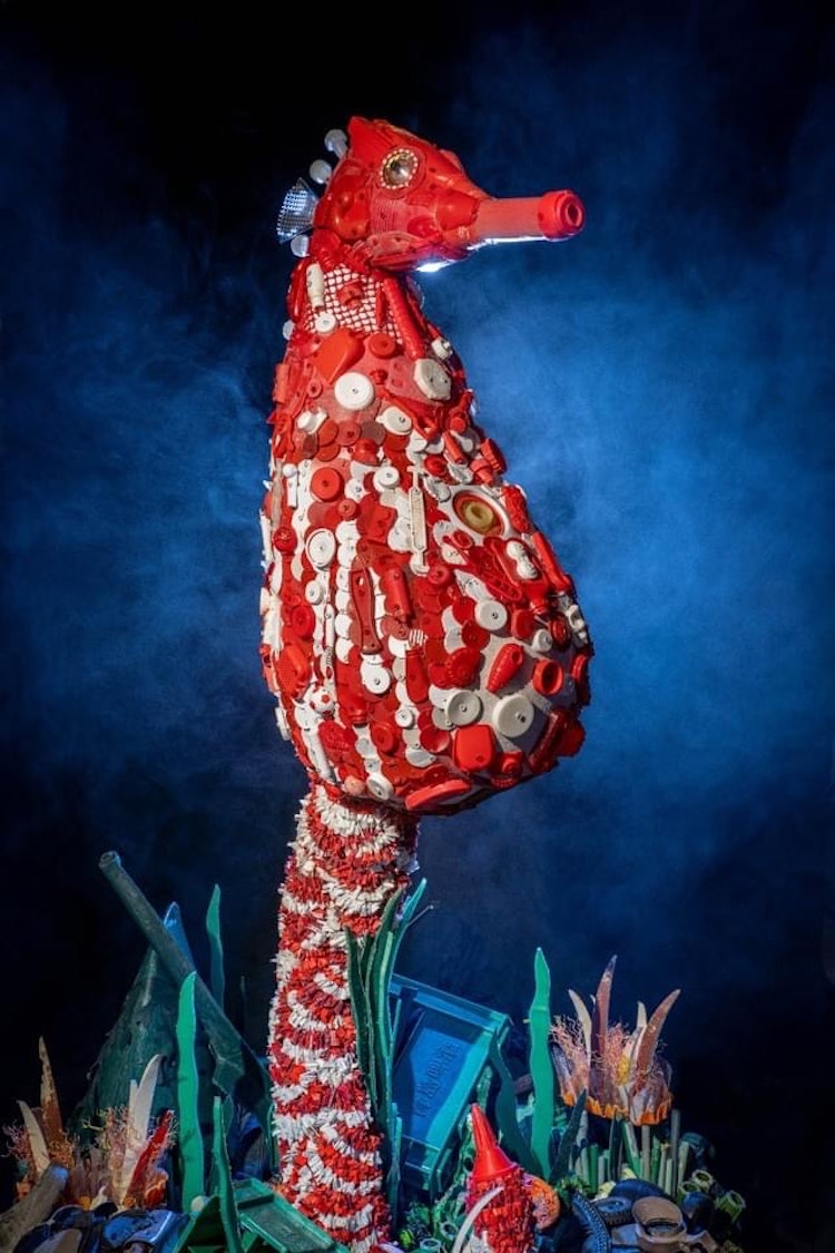 Photo of Seamore the Pot-bellied Seahorse