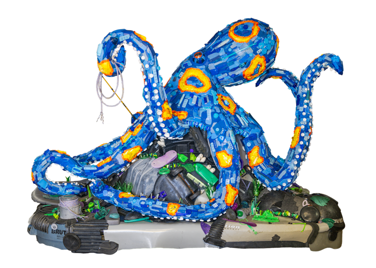 Photo of Udo the Blue Ringed Octopus