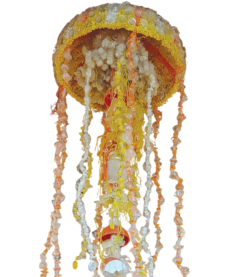 Photo of Sea Jelly Bloom
