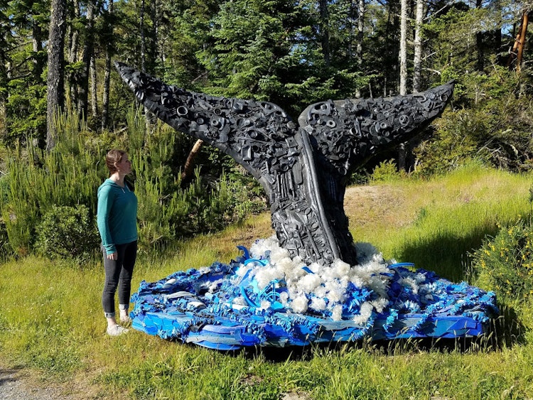 Photo of Grace the Humpback Whale