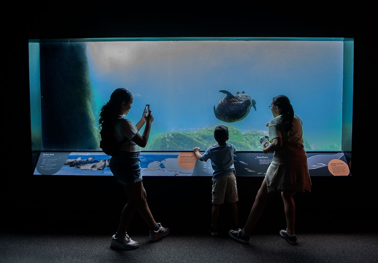Photo of Aquarium Insider's Station