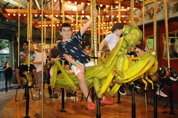 Photo of Bug Carousel