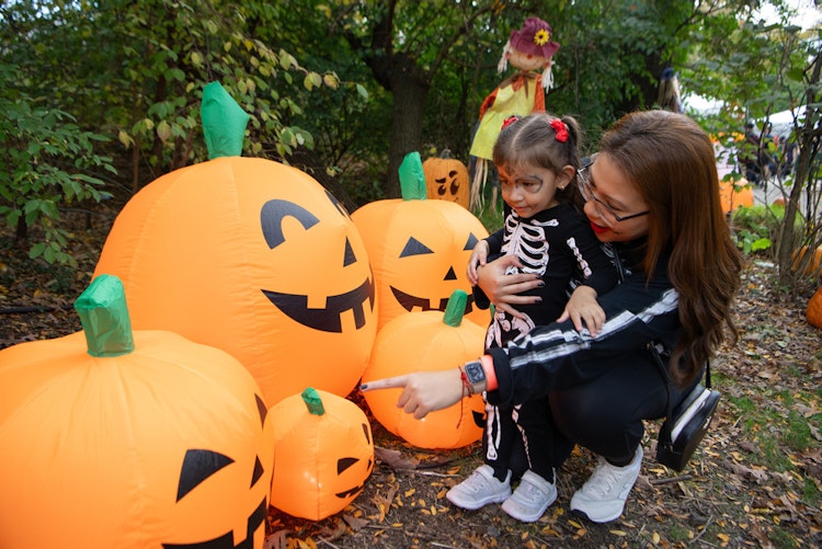 Photo of Pumpkin Path