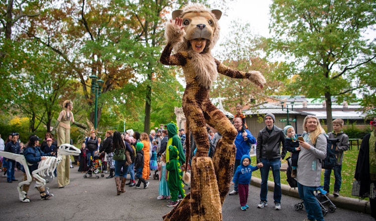 Photo of Costume Parade