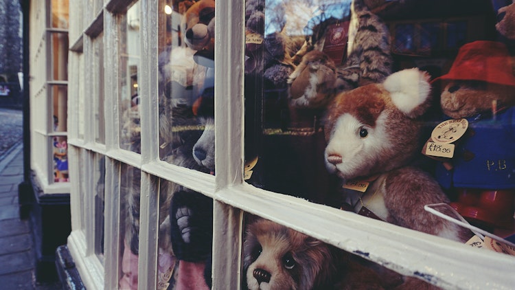 Photo of Zoo Shop