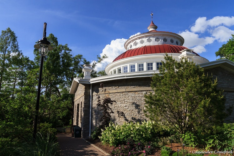 Photo of Reptile House