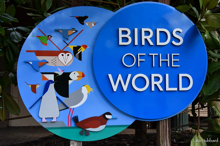 Photo of Birds of the World 