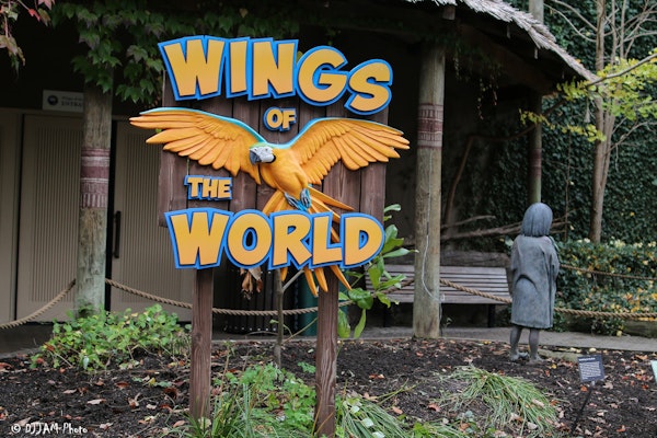 Photo of Birds of the World
